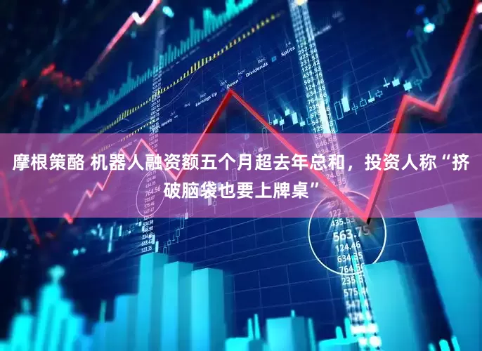 摩根策酪 机器人融资额五个月超去年总和，投资人称“挤破脑袋也要上牌桌”
