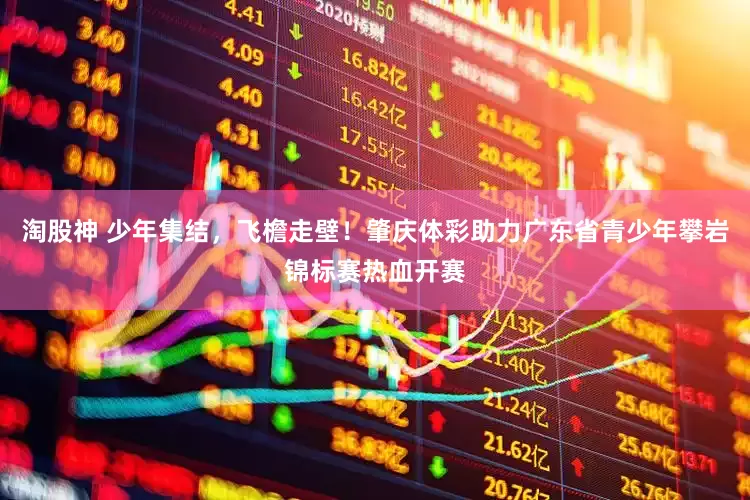 淘股神 少年集结，飞檐走壁！肇庆体彩助力广东省青少年攀岩锦标赛热血开赛