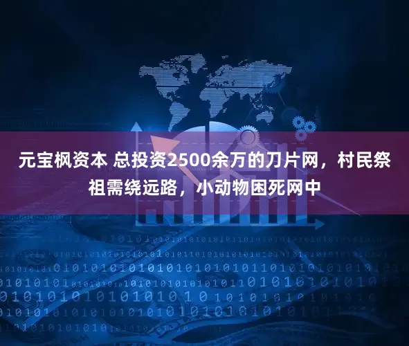 元宝枫资本 总投资2500余万的刀片网，村民祭祖需绕远路，小动物困死网中